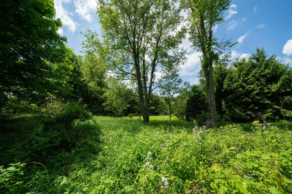 6470 E East Avenue Richland, MI 49083