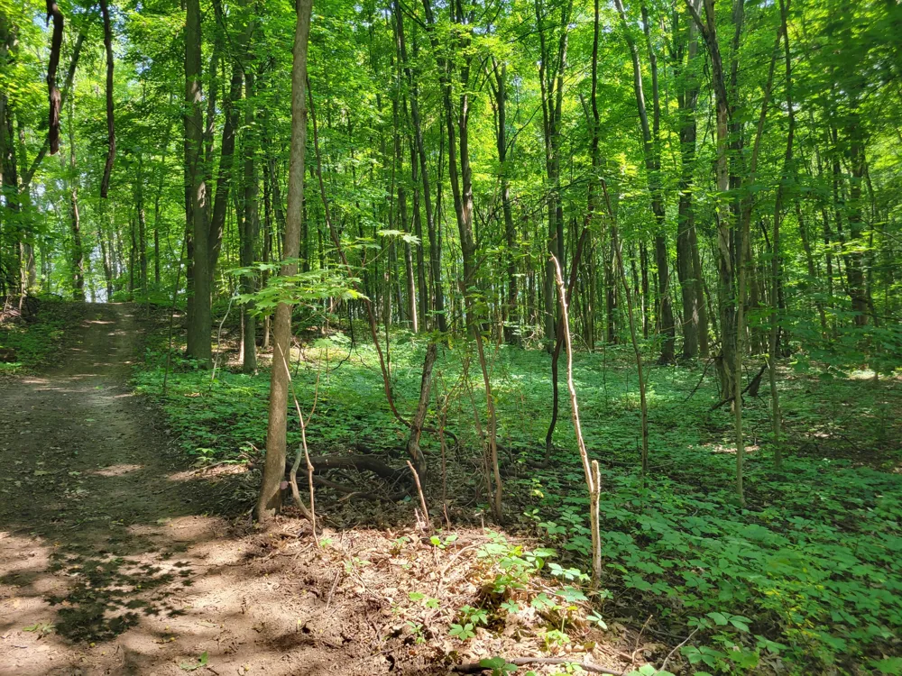Peterson Drive Gobles, MI 49055