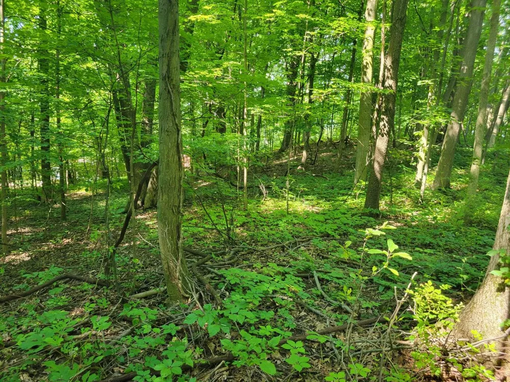 Peterson Drive Gobles, MI 49055