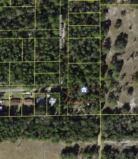 10013 HOLYOAK TERRACE Dunnellon, FL 34433