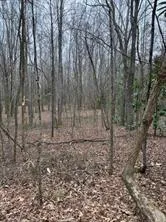 0 Center Road Cartersville, GA 30121