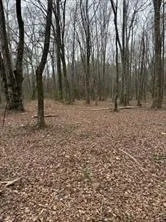 0 Center Road Cartersville, GA 30121
