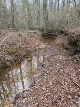 0 Center Road Cartersville, GA 30121