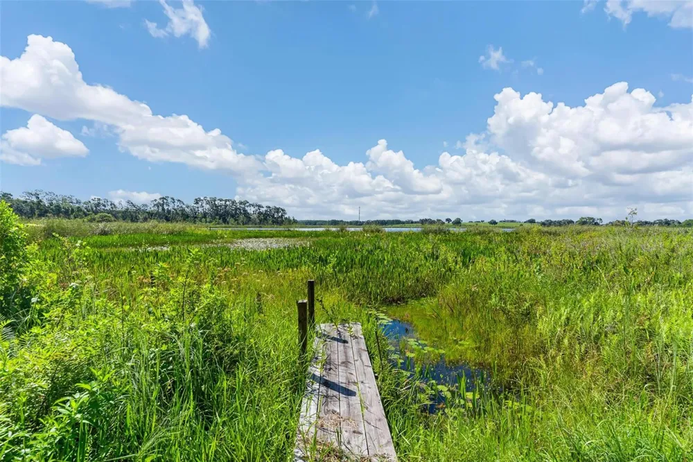 26833 ANDERSON RANCH ROAD Yalaha, FL 34797