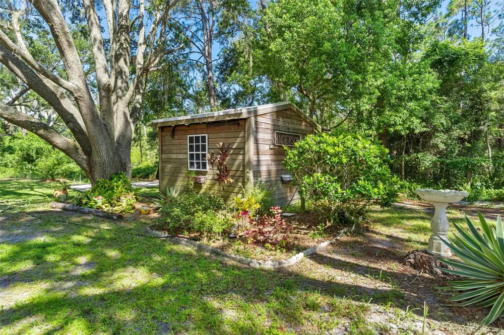 26833 ANDERSON RANCH ROAD Yalaha, FL 34797