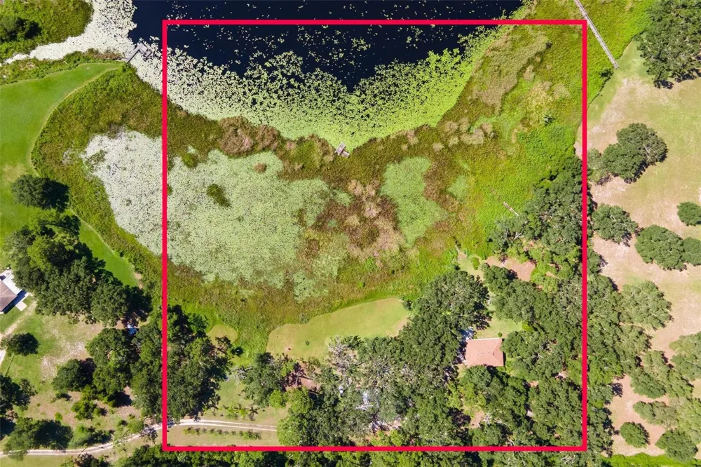 26833 ANDERSON RANCH ROAD Yalaha, FL 34797
