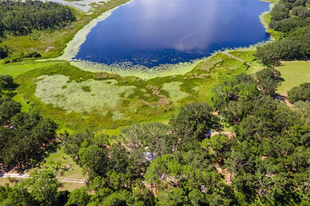 26833 ANDERSON RANCH ROAD Yalaha, FL 34797