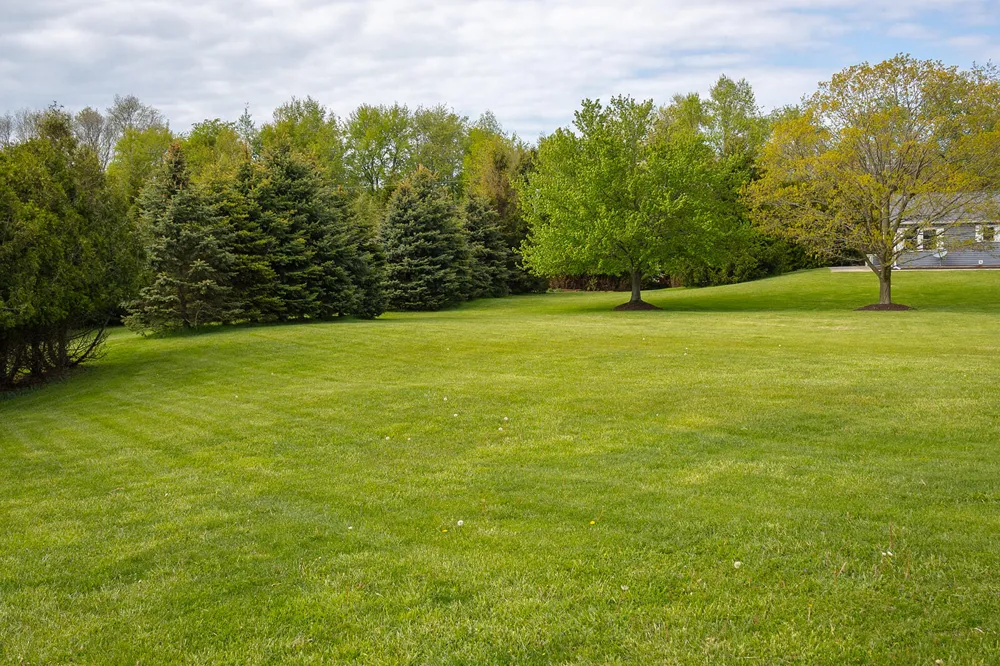 5251 Spring Creek Road Three Oaks, MI 49128