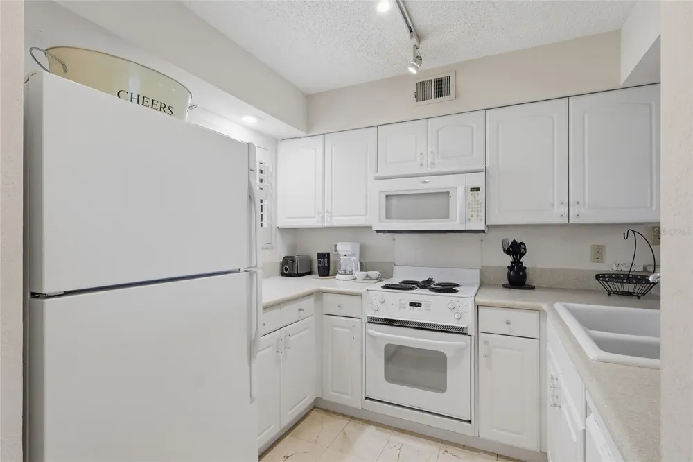 29130 BAY HOLLOW DRIVE #3312 Wesley Chapel, FL 33543