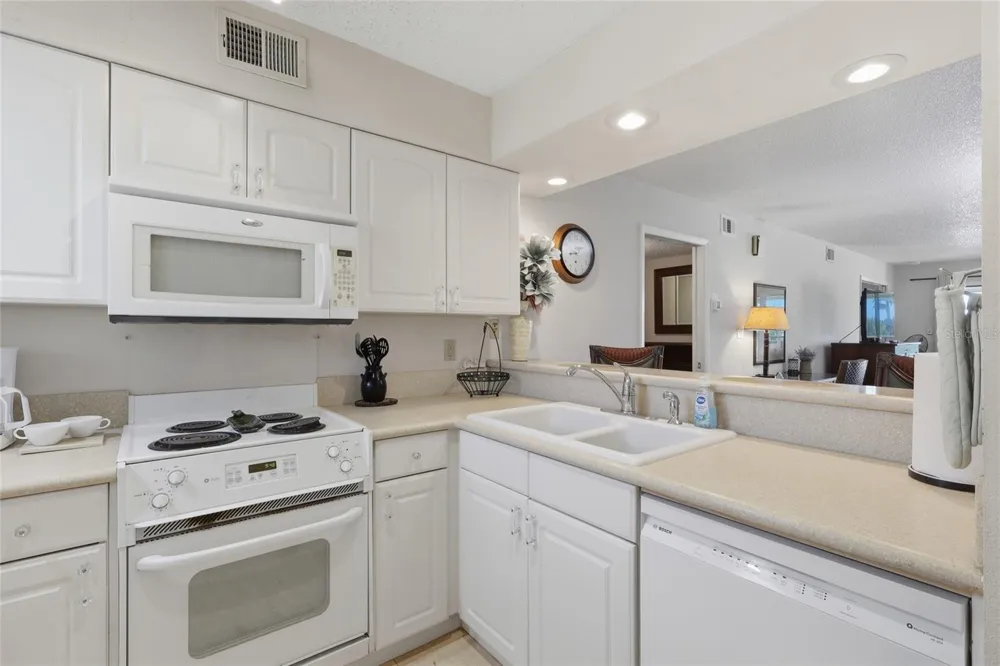 29130 BAY HOLLOW DRIVE #3312 Wesley Chapel, FL 33543