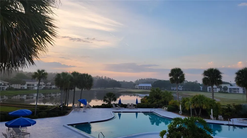 29130 BAY HOLLOW DRIVE #3312 Wesley Chapel, FL 33543