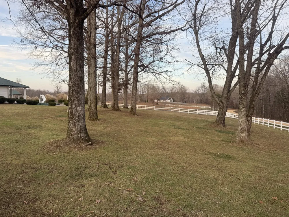 321 Bellview Rd Waverly, TN 37185