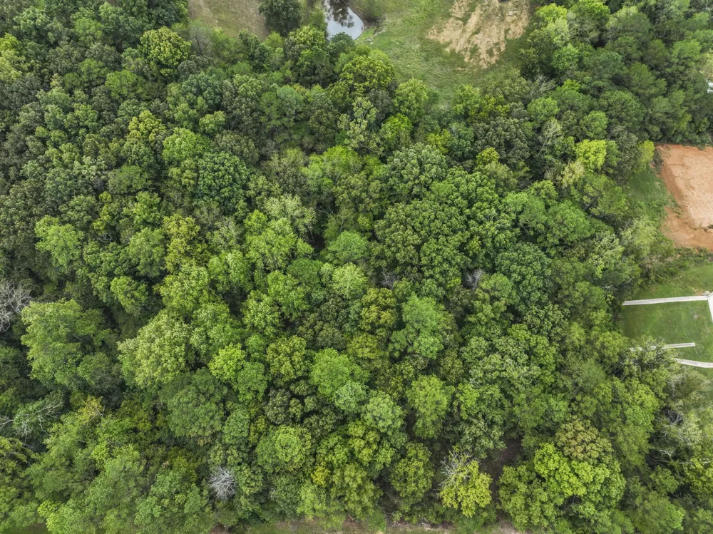 0 Hwy 100 Centerville, TN 37033