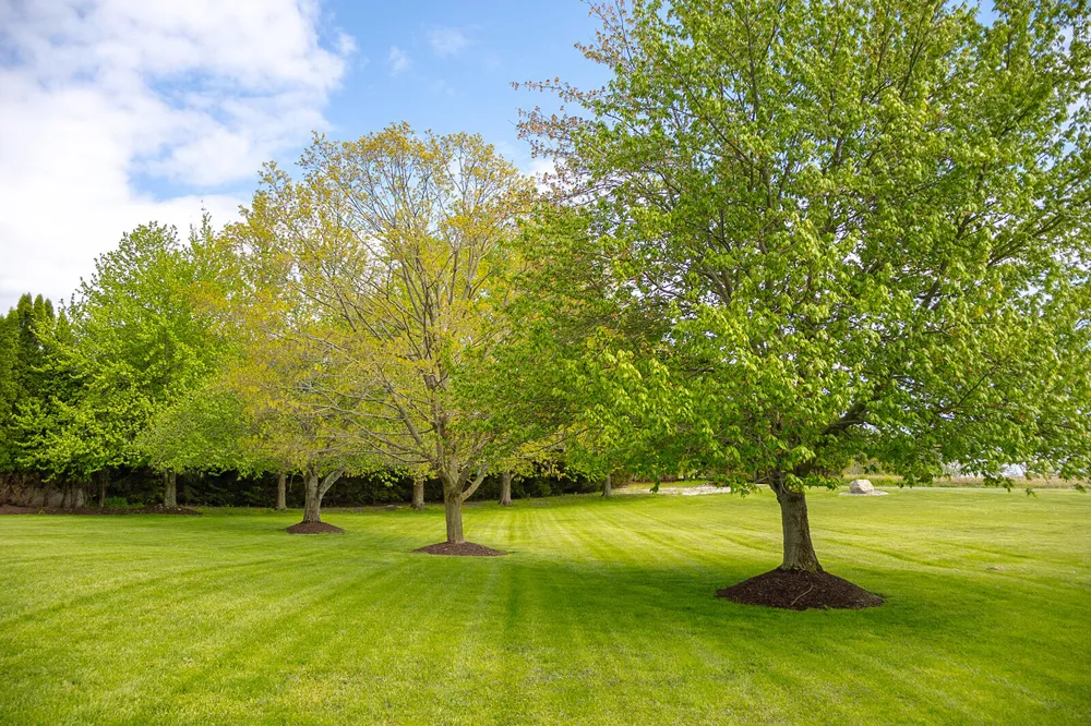 5251 Spring Creek Road Three Oaks Township, MI 49128
