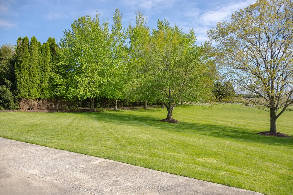 5251 Spring Creek Road Three Oaks Township, MI 49128