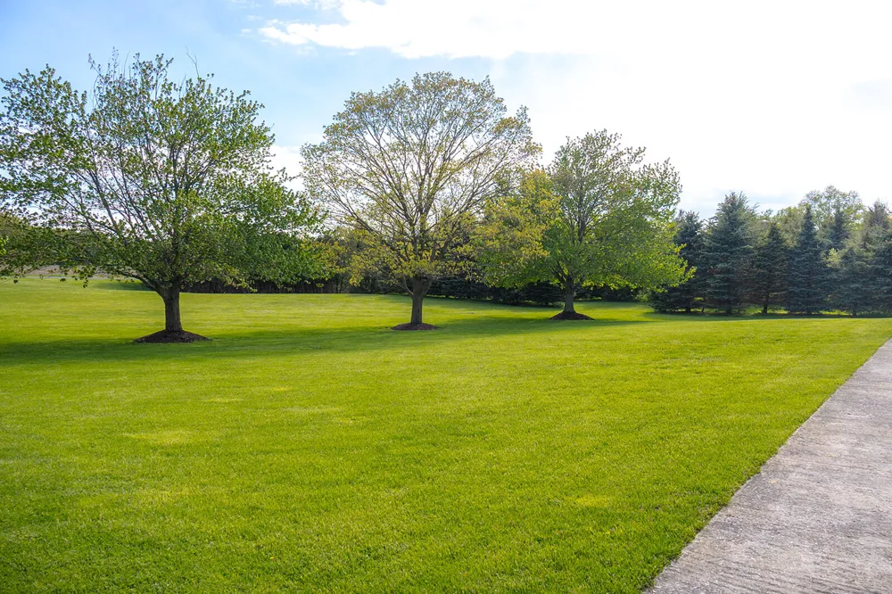 5251 Spring Creek Road Three Oaks Township, MI 49128