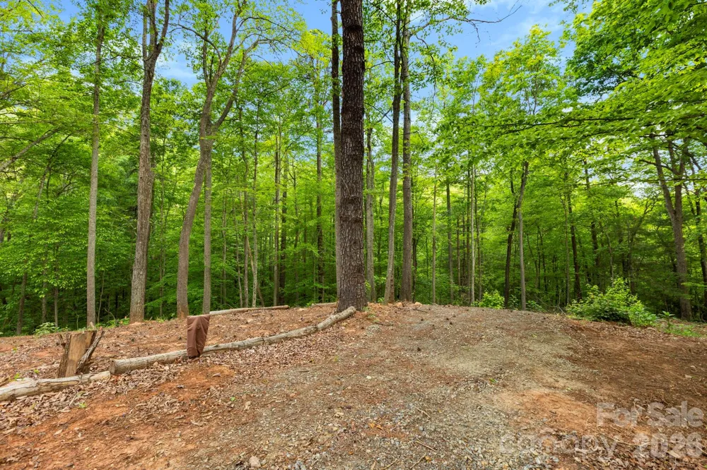 108 High Top Mountain Road #A & B Leicester, NC 28748
