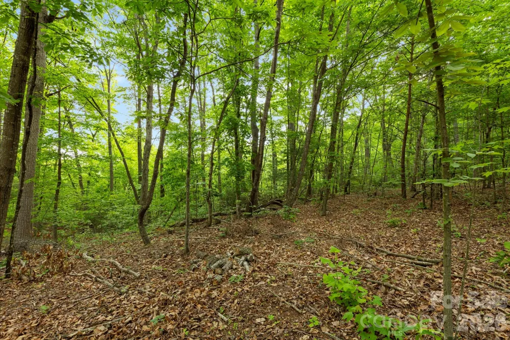 108 High Top Mountain Road #A & B Leicester, NC 28748