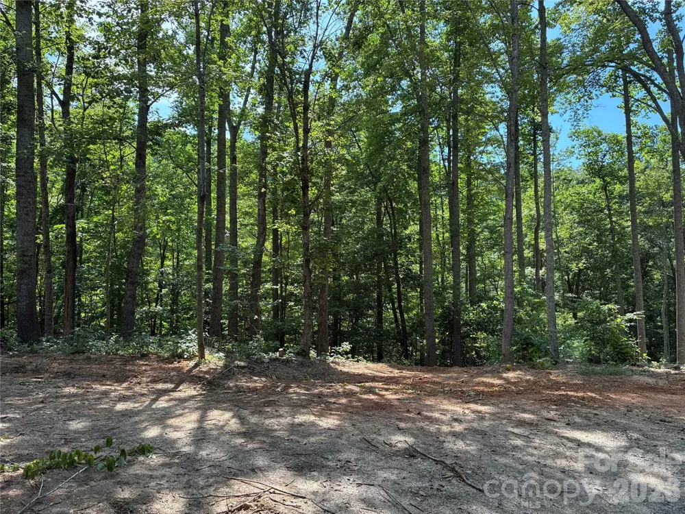 108 High Top Mountain Road #A & B Leicester, NC 28748