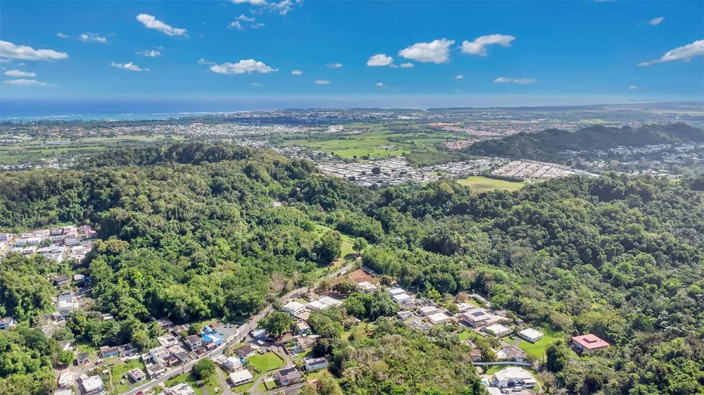 Km 3.6 695 Dorado, PR 00646