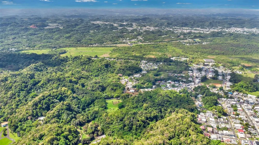 Km 3.6 695 Dorado, PR 00646