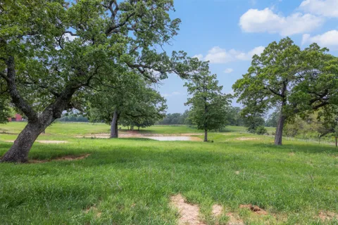 1016 County Road 306