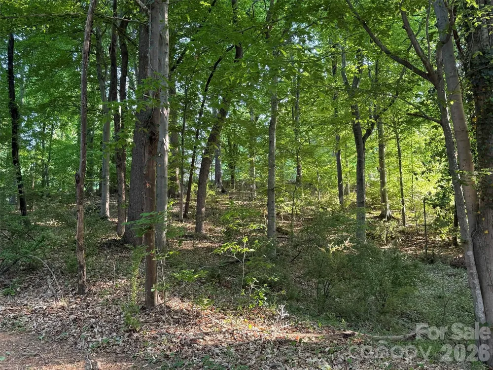 300 Maymont Drive Cramerton, NC 28032