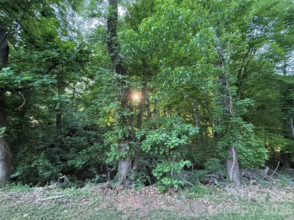 300 Maymont Drive Cramerton, NC 28032