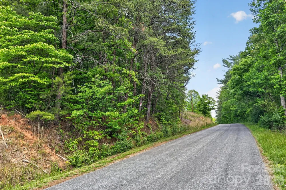 99999 Wright Road Marion, NC 28752