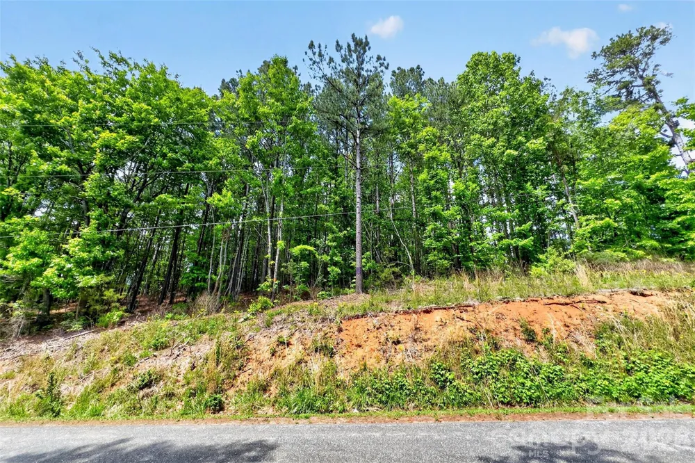 99999 Wright Road Marion, NC 28752