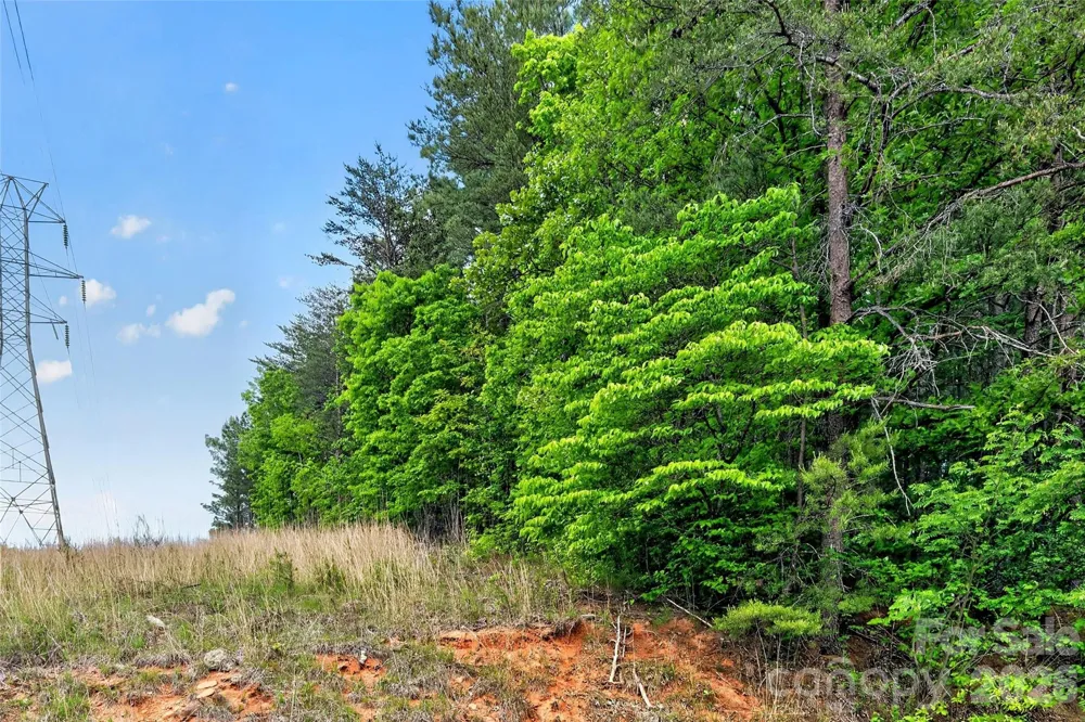99999 Wright Road Marion, NC 28752