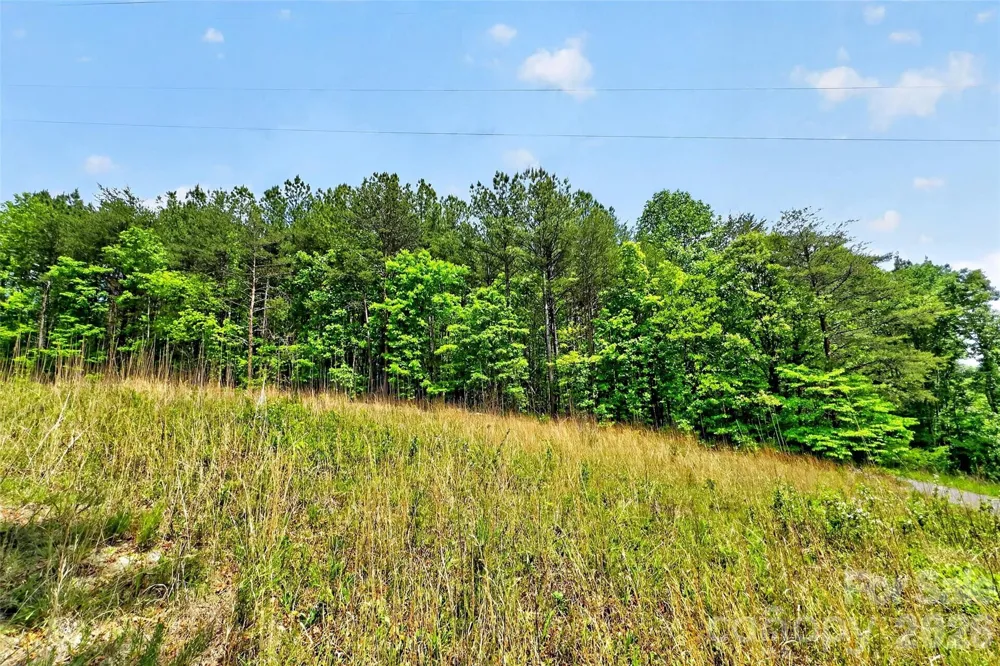 99999 Wright Road Marion, NC 28752