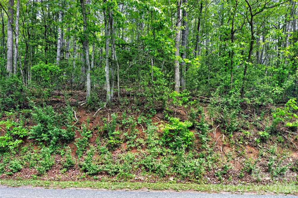99999 Wright Road Marion, NC 28752
