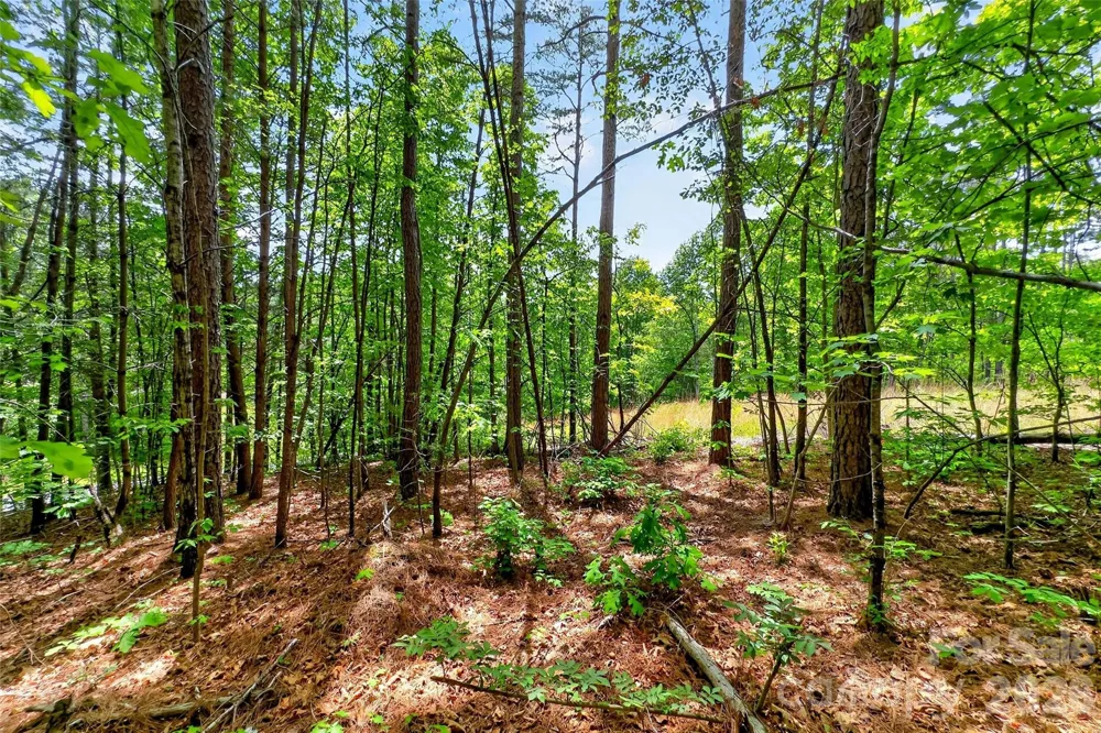 99999 Wright Road Marion, NC 28752