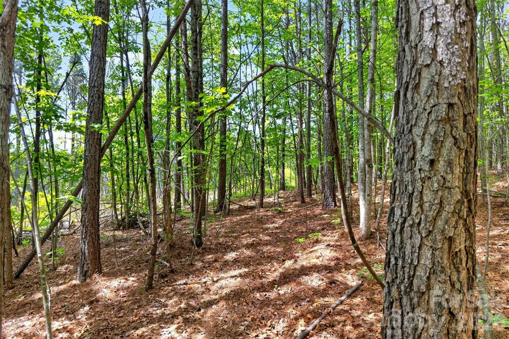 99999 Wright Road Marion, NC 28752