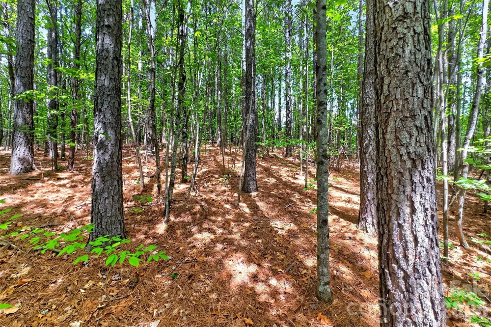 99999 Wright Road Marion, NC 28752
