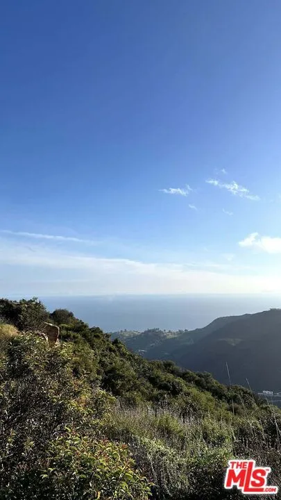 2195 Little Las Flores Topanga, CA 90290