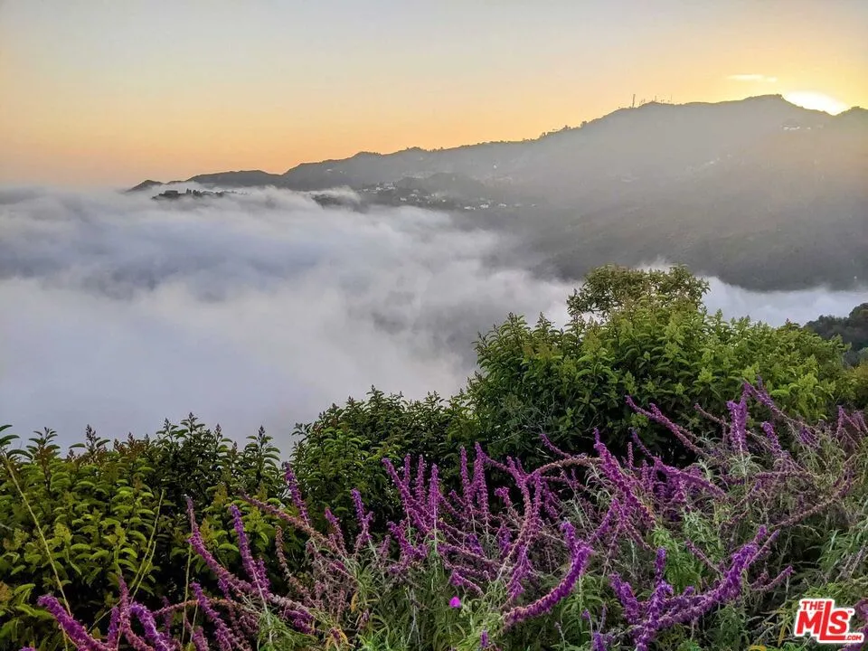 2195 Little Las Flores Topanga, CA 90290