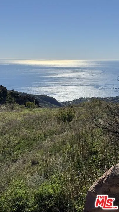 2195 Little Las Flores Topanga, CA 90290