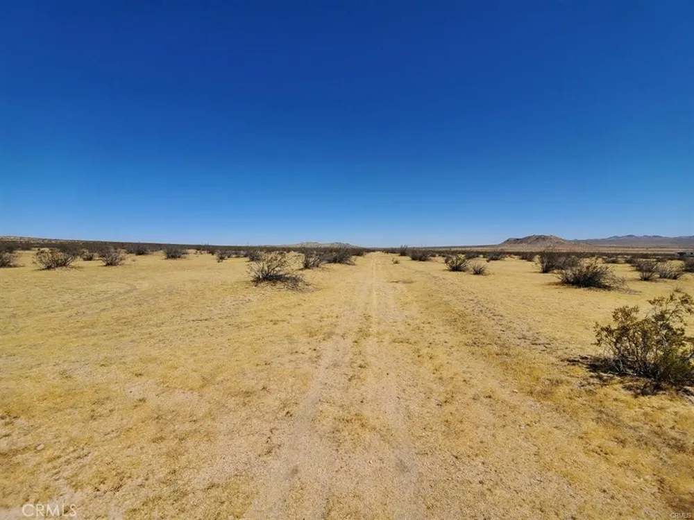 602 Mimosa El Mirage, CA 92301