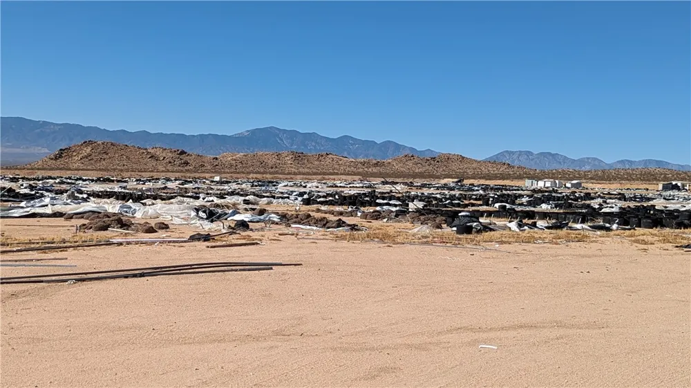 602 Mimosa El Mirage, CA 92301
