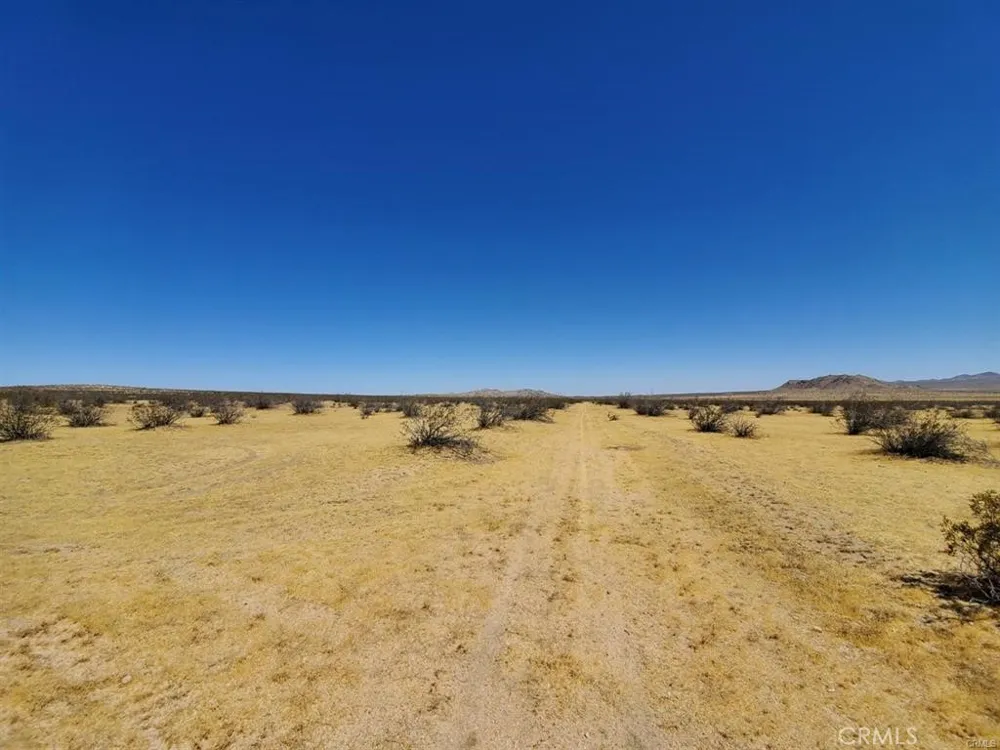 602 Mimosa El Mirage, CA 92301
