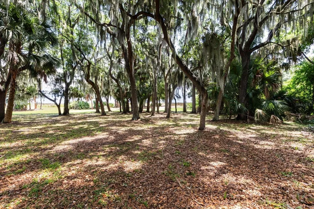 TBD DEER ISLAND ROAD Tavares, FL 32778