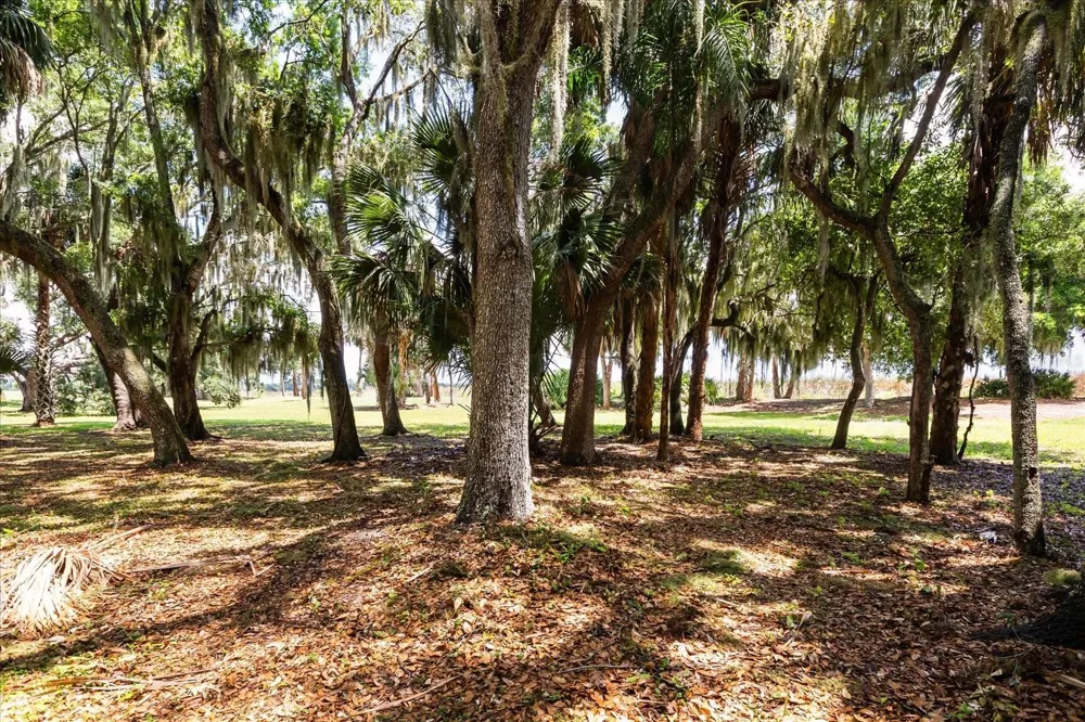 TBD DEER ISLAND ROAD Tavares, FL 32778