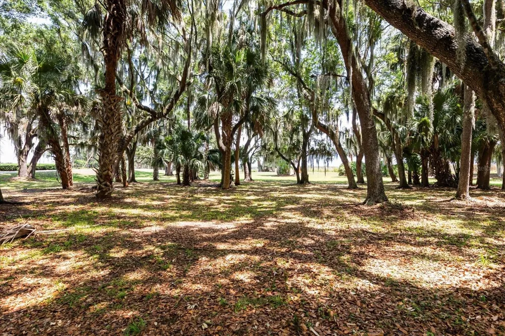 TBD DEER ISLAND ROAD Tavares, FL 32778