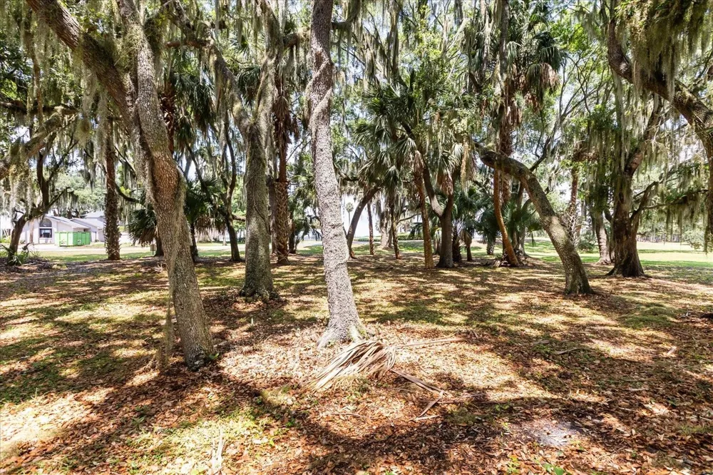 TBD DEER ISLAND ROAD Tavares, FL 32778