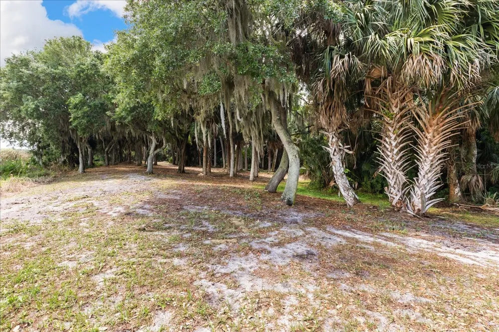 TBD DEER ISLAND ROAD Tavares, FL 32778