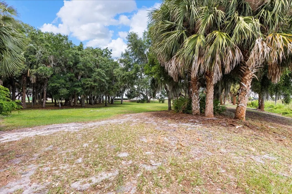 TBD DEER ISLAND ROAD Tavares, FL 32778