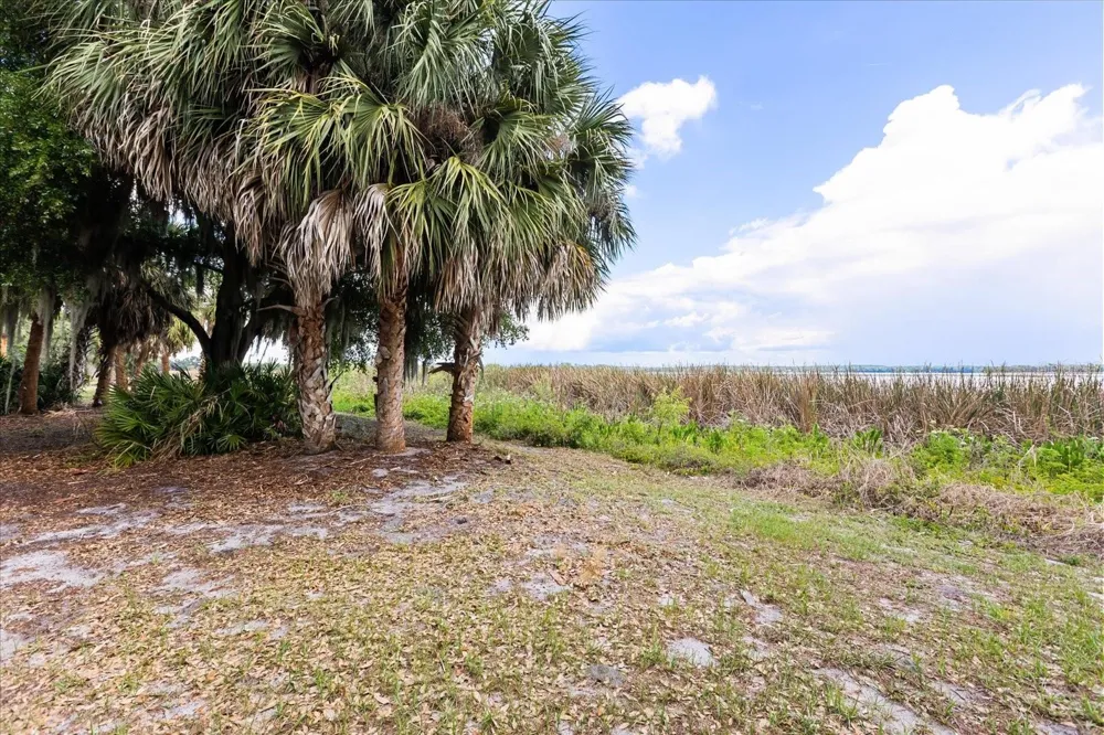 TBD DEER ISLAND ROAD Tavares, FL 32778