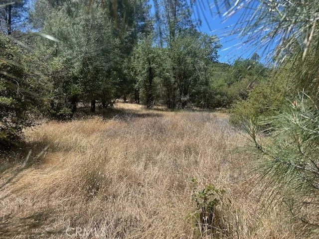 Coalinga Other, CA 93210
